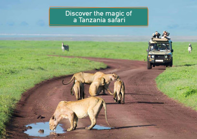 Discover the magic of a Tanzania safari