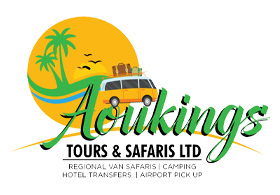 Aoukings Tours and Safaris