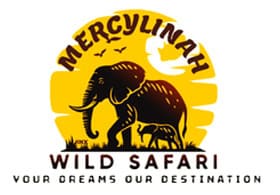 Mercylinah Wild Safaris