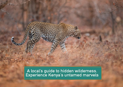 A local’s guide to hidden wilderness: Experience Kenya’s untamed marvels
