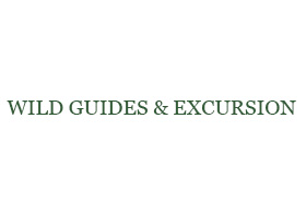 Wild Guides & Excursion