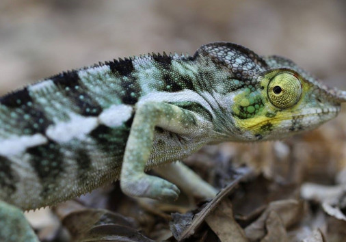 13522746 159285054484483 3933529682899004038 O