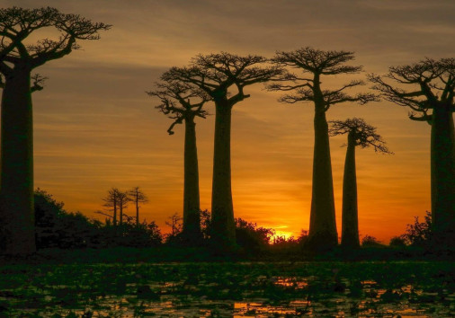 23926638 358575047940870 7759776996125655503 O