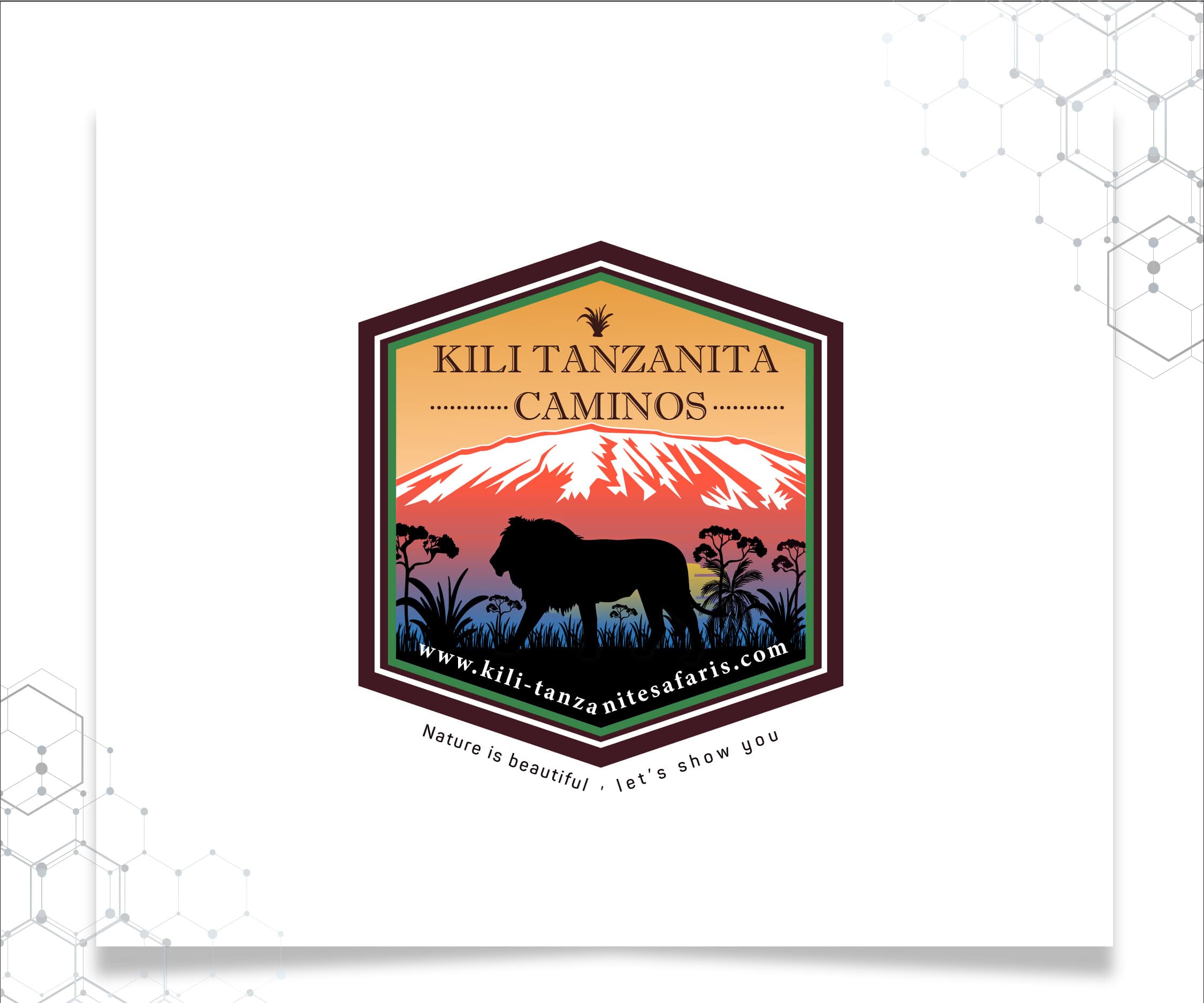 Kilimanjaro Tanzanite Safaris