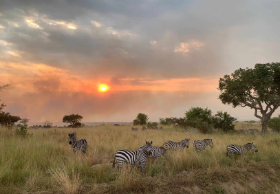 8-Day Serengeti Wildebeest Safari Adventure