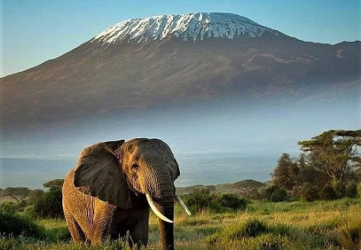 3 Days Jumbo Elephants Safari in Amboseli