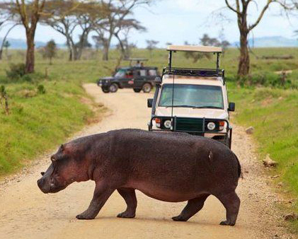 Whatsapp Image 2025 06 05 At 23.34.32 7238eedd