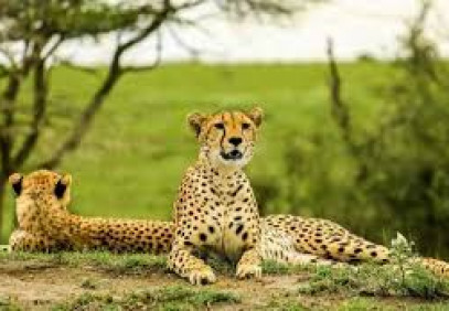 8-Day Journey through Wilderness and Culture