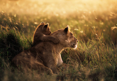 8 Days Tanzania Wildlife & Zanzibar Safari