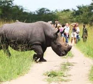 14 Days Uganda Gorilla Trekking and Adventure Safari