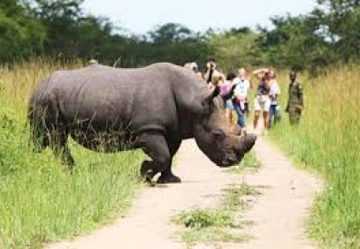 14 Days Uganda Gorilla Trekking and Adventure Safari