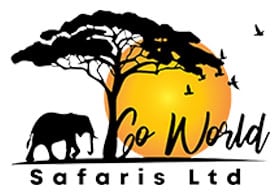 Go World Safaris