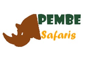 Pembe Safaris