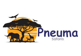 Pneuma Safaris