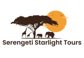 Serengeti Starlight Tours