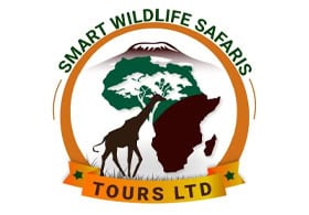 Smart Wildlife Safaris