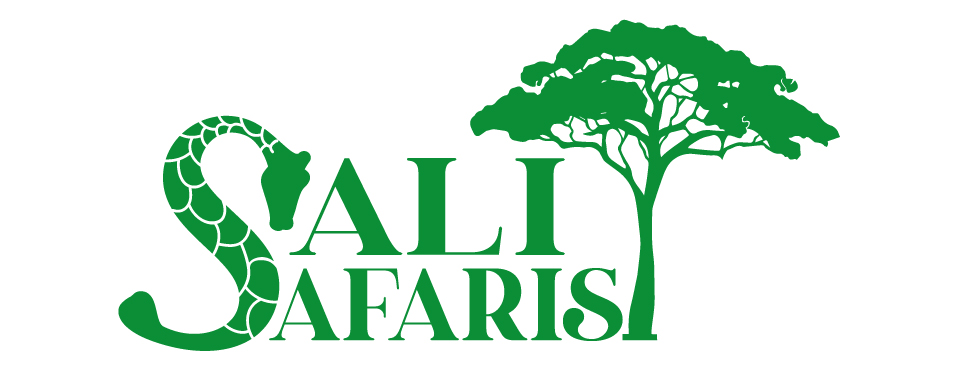 Sali Safaris