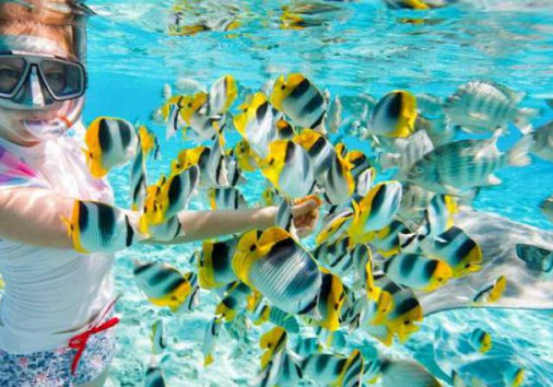 Zanzibar Bawe Island Snorkeling