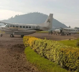3-Day Uganda Fly-in Gorilla Safari