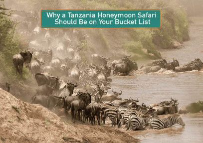 Why a Tanzania Honeymoon Safari Should Be on Your Bucket List