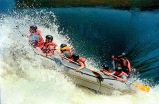 6-Day Gorillas, Wildlife and Whitewater Rafting