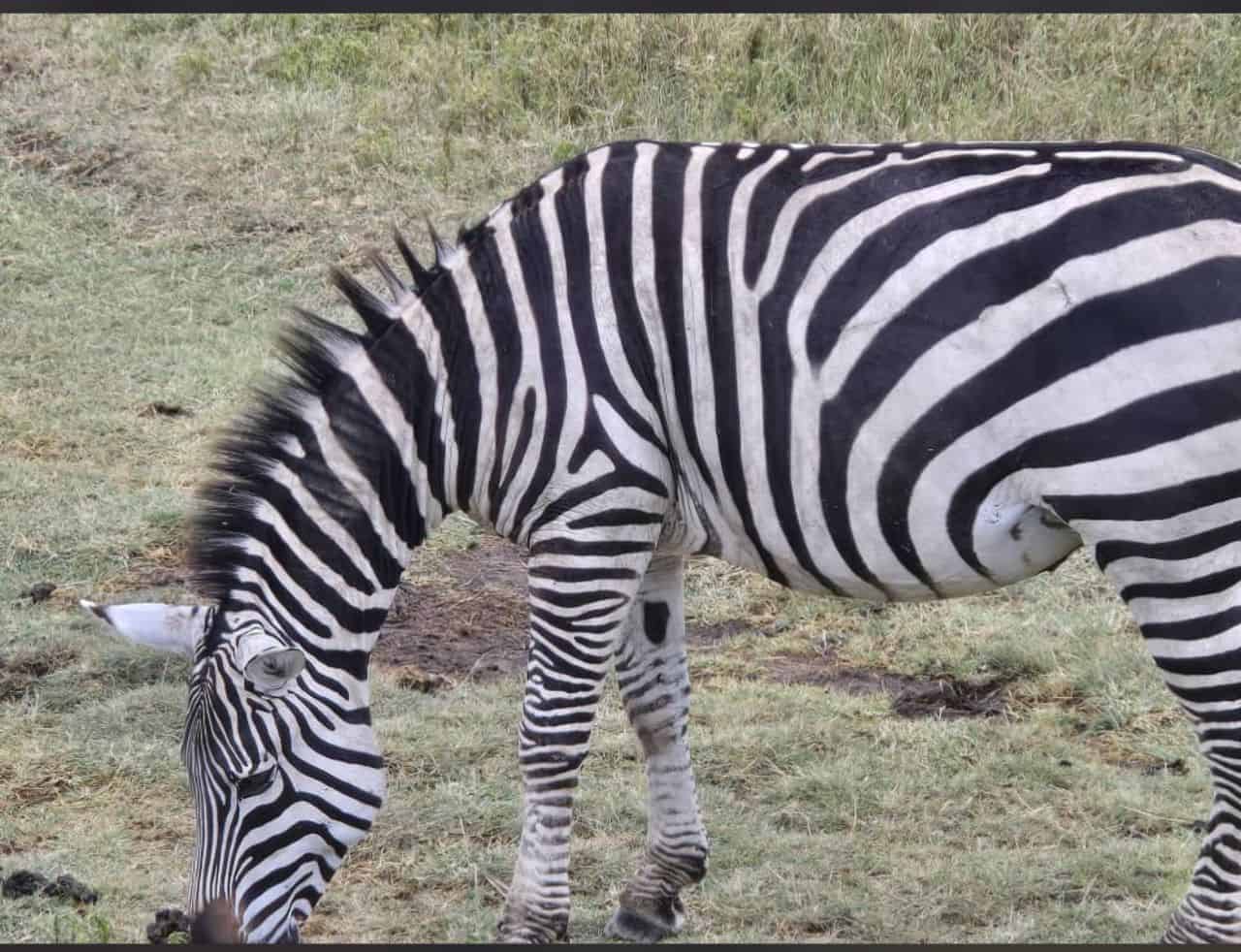 Whatsapp Image 2025 03 12 At 13.51.51