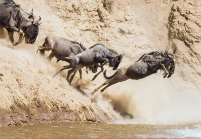 8 Days Tanzania Migration Safari