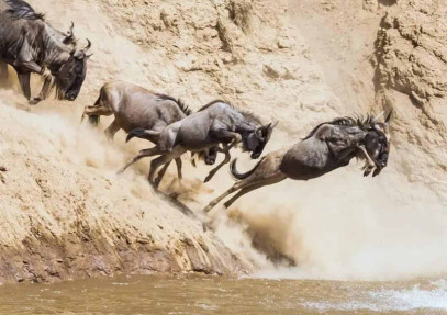 8 Days Tanzania Migration Safari