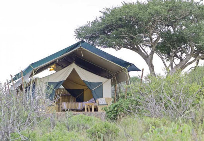 4-Day Kenya Safari in Luxury Tented Camp