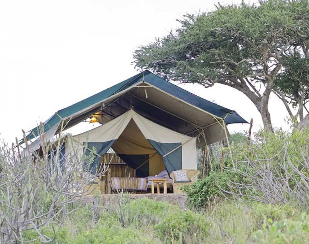 4-Day Kenya Safari in Luxury Tented Camp