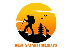 Best Safari Holidays