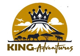King Adventures