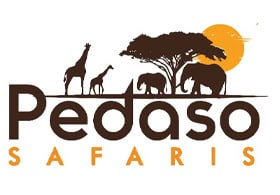Pedaso Safaris