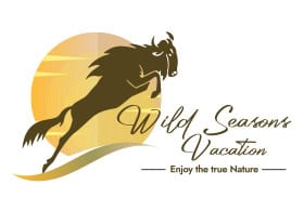 Wild Seasons Vacation