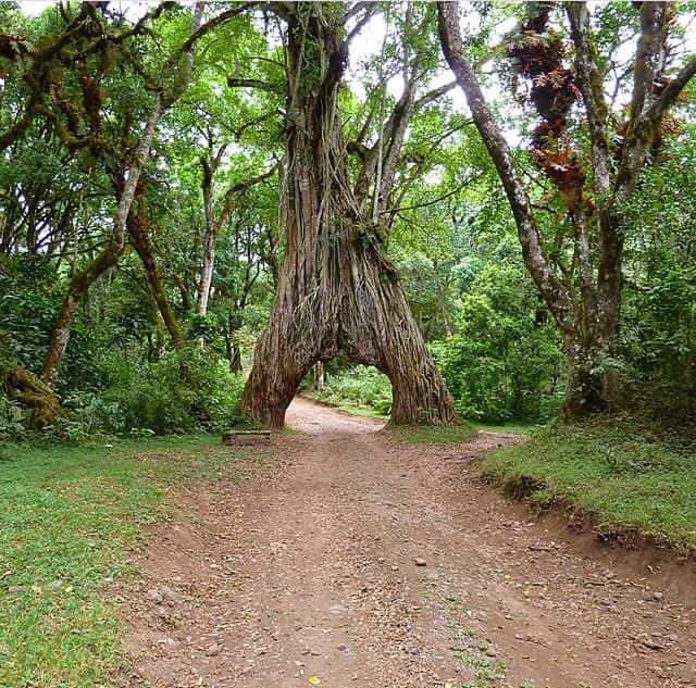 Whatsapp Image 2025 03 12 At 03.51.48 40acf083