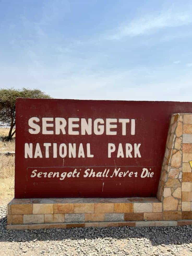 Whatsapp Image 2025 03 12 At 03.51.51 E921dcd0