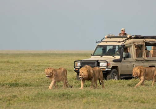 Whatsapp Image 2025 04 03 At 5.09.35 Am (1)