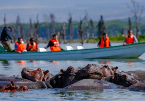 Whatsapp Image 2025 04 03 At 6.39.54 Am