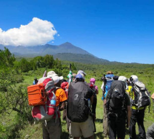 8 Days Mount Kilimanjaro Northern Circuit