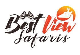 Best View Safaris