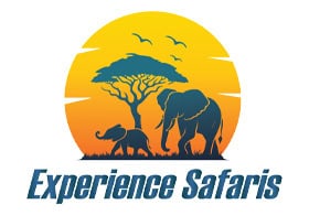 Experience Safaris
