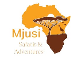 Mjusi Safaris