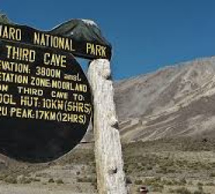 7 Days Mount Kilimanjaro Rongai Route