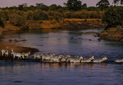 4-Day Naivasha & Maasai Mara Safari