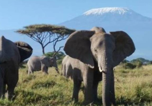 10 Days Kenya Luxury 5