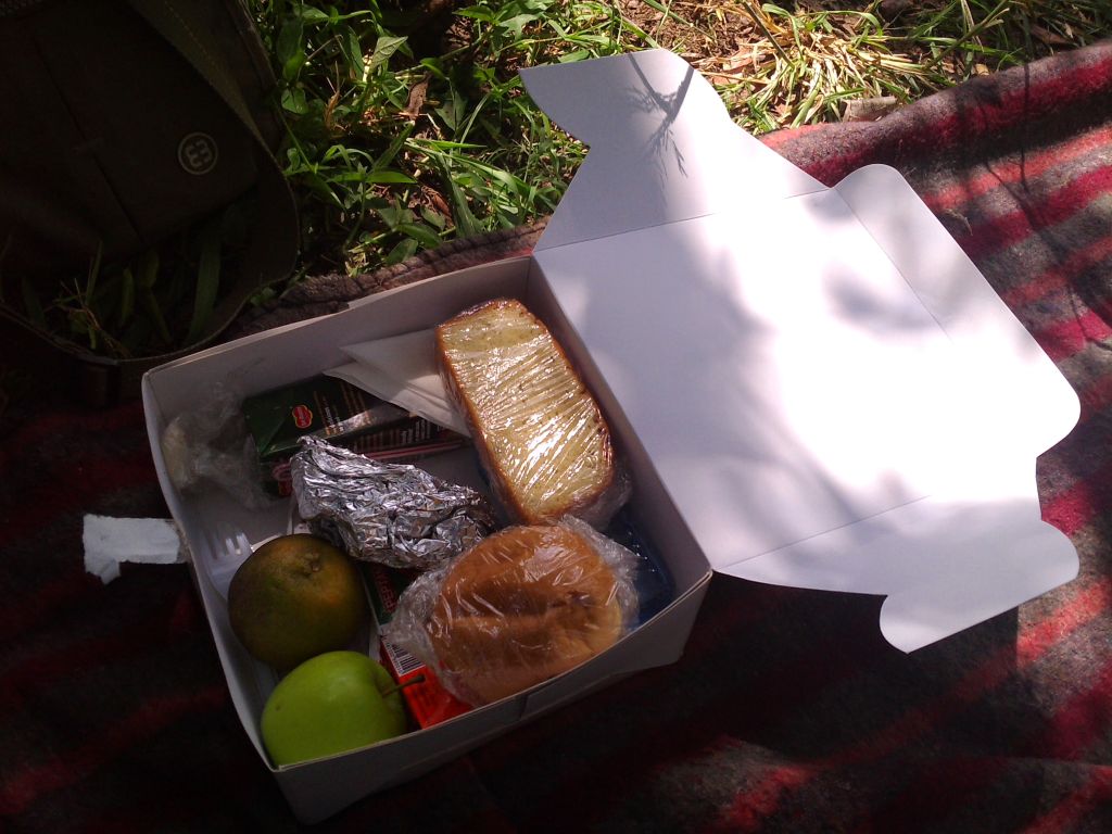 Picnic lunch
