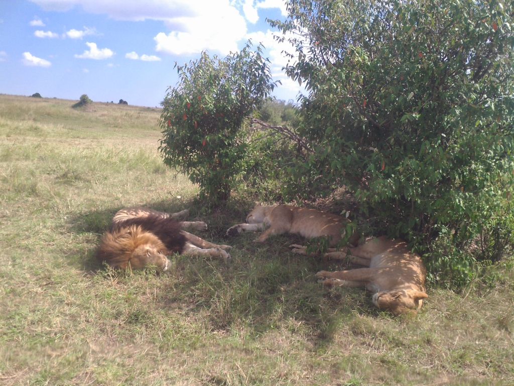 Img 20140629 144945 1