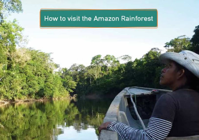 How to visit the Amazon Rainforest