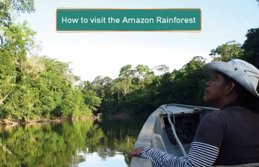How to visit the Amazon Rainforest