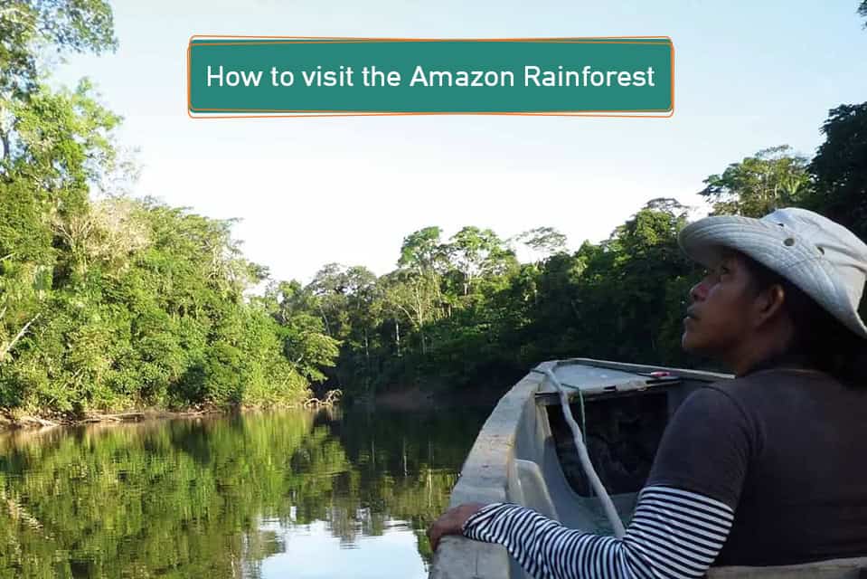 How to visit the Amazon Rainforest